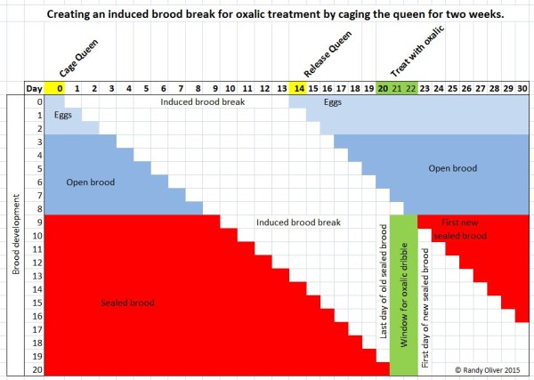 Induced break graphic