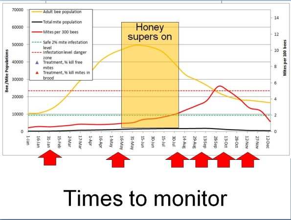 Times to monitor jpg